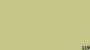 Color Number 119