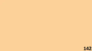 Color Number 142
