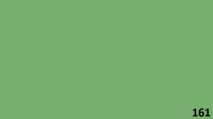Color Number 161