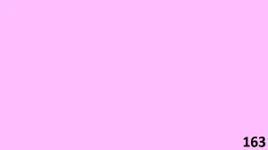 Color Number 163