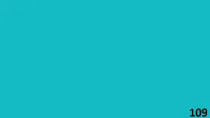 Color Number 109
